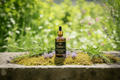 Pre-Shampoo Hot Oil - Moss Rosemary